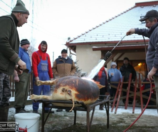 A község, amely példát mutat – Jótékonysági disznóölés Kislődön